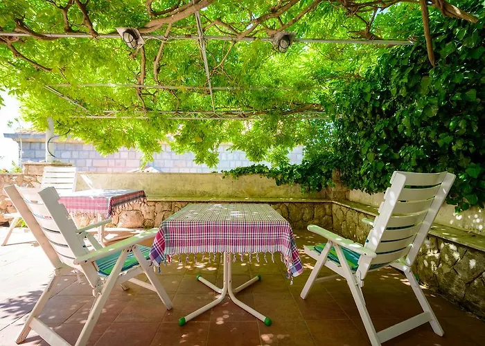 Giardino * 察夫塔特